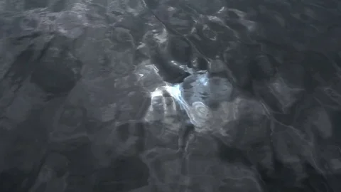 Reflection of gray sky and sun in water Vidéo 76951326
