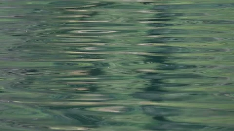 A reflection of a green forest in lake water with small waves creating Stock Footage 317325394