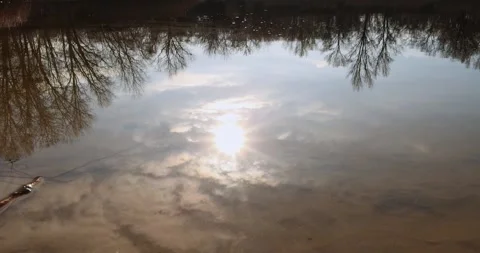 The reflection of green trees against the sky in the surface of river or lake Stock Footage 300364022