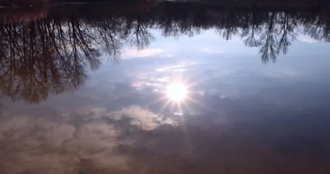 The reflection of green trees against the sky in the surface of river or lake Stock Footage 300364043