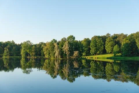 Reflection of green trees and clear sky in a pond Stock Photos