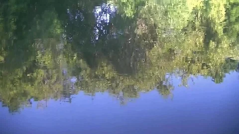 Reflection of green trees in the lake Stock Footage 78675471