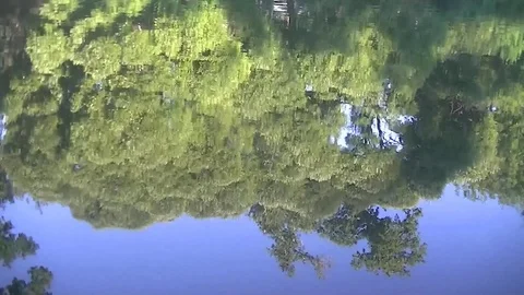 Reflection of green trees in the lake 스톡 동영상 78675515