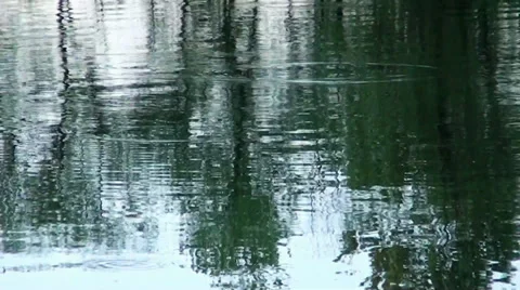 A reflection of green trees is in the river Video stock 32971343