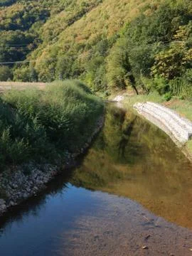 Reflection of green trees in the small mountain river Stock Photos