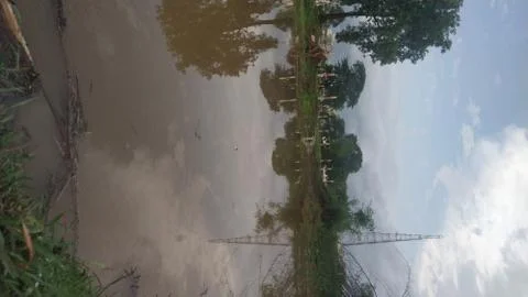 Reflection of green trees in small pond water in rainy season Foto stock