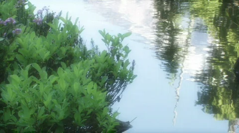 Reflection HD Stock Footage 335379