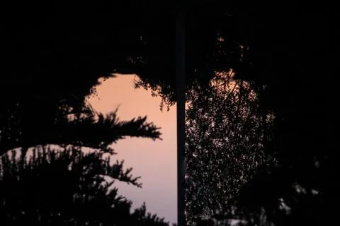 Reflection of heart shape in water between trees Photos