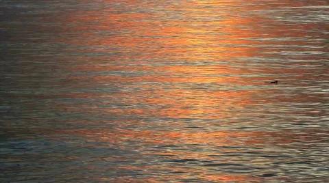Reflection of heat waves from the water surface during sunset time Stock Footage 49495384