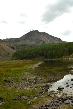 Reflection of a high cliff and dense coniferous forest in the calm water of.. Fotos Stock