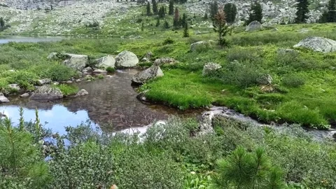 Reflection of a high mountain with calm water of a small backwater on a grassy Stock Footage 266757301
