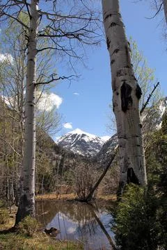 A Reflection of a Hike Foto stock