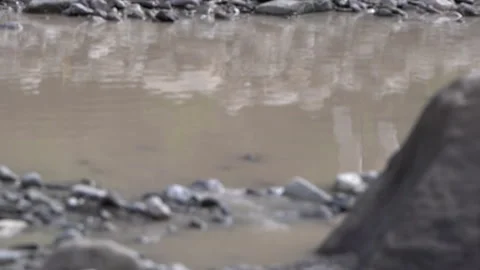 Reflection of Hiker in Water Stock Footage 310827825