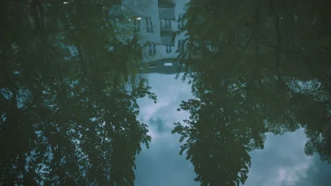 Reflection of house and trees in water Stock Footage 203587392
