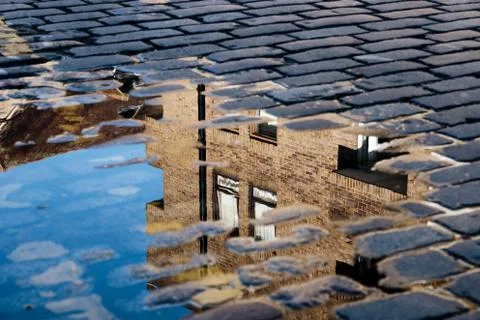 Reflection of House in Puddle 스톡 사진