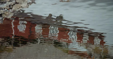 Reflection of a house on the water Stock Footage 129729834