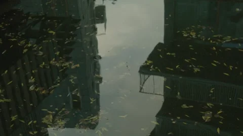 The Reflection Of The Houses In The Puddle Stock Footage 273576463