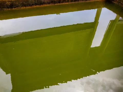 Reflection of an information board and sky on a cloudy pond Stock Photos