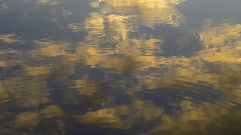 Reflection on Jungle Oxbow Lake Stock Footage 94224062