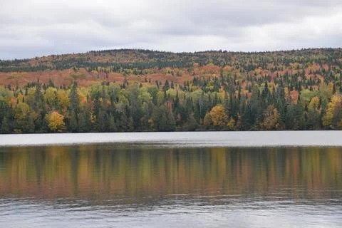 Reflection on the lake in autumn Stock Photos