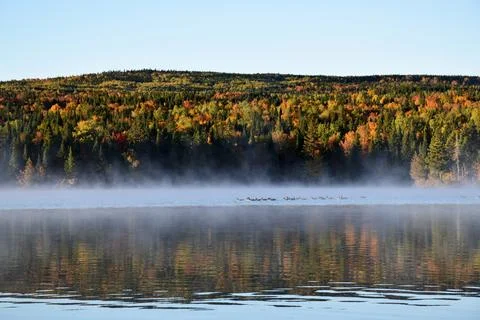 Reflection on the lake in autumn Stock Photos