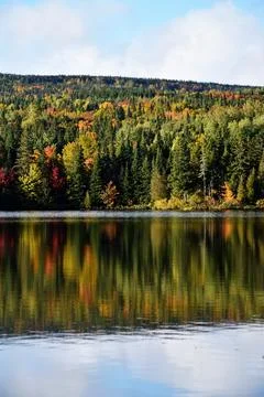Reflection on the lake in autumn Foto stock