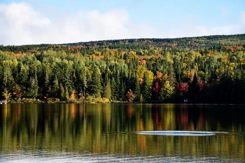 Reflection on the lake in the fall Stock Photos