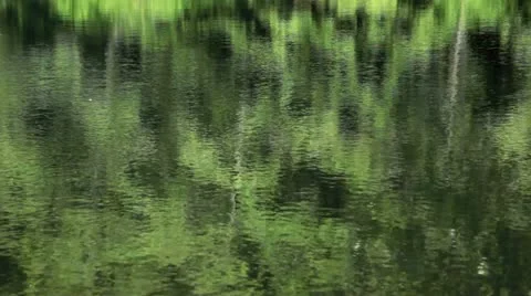 Reflection in a lake Stock Footage 11423987