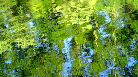 Reflection in lake Stock Footage 50862722