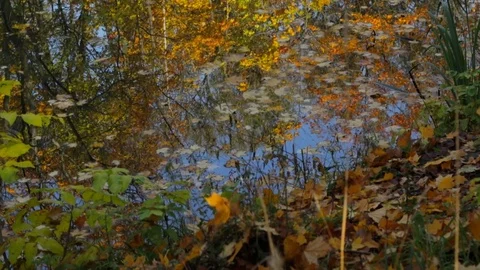 Reflection in the lake 库存影片 82945017