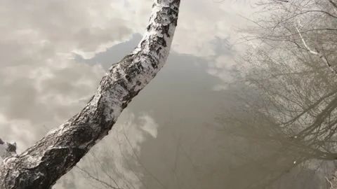 Reflection in the lake Stock Footage 131079273