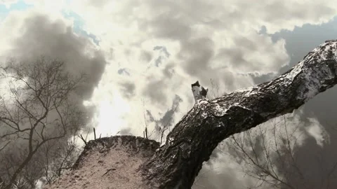 Reflection in the lake Stock Footage 131079304