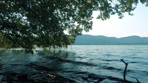 Reflection in the lake Stock Footage 227345791