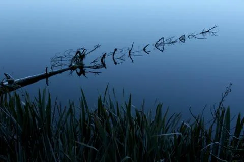 Reflection in lake matheson Stock Photos
