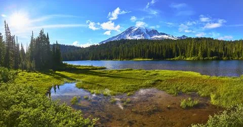 Reflection Lake Mount Rainier and Lush Forest Panorama under Bright Summer Su Stock-Fotos
