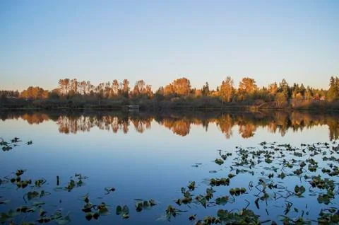 Reflection on the lake Stockfoto's