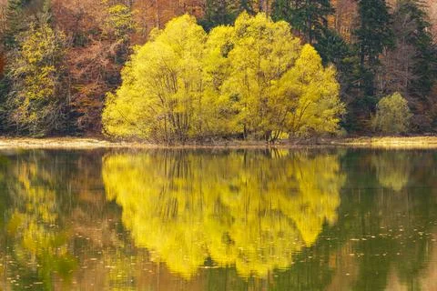 Reflection in the lake 写真素材