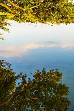 Reflection at the lake Schaalsee with trees in Seedorf, Germany Stock Photos