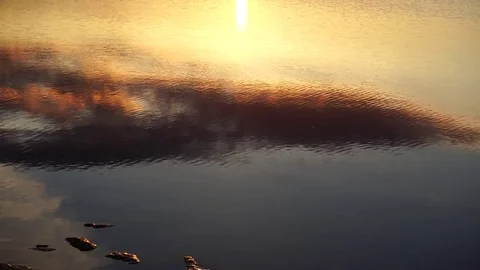Reflection in a lake in sunset Stock Footage 76195858