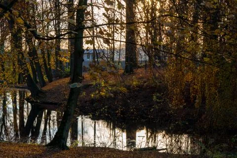 Reflection on a lake at sunset Stock Photos