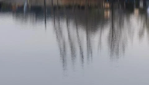Reflection in the lake surface. Stock Photos