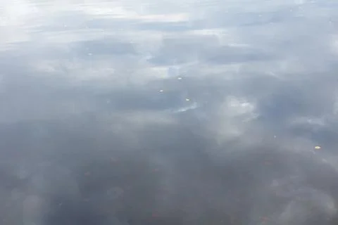 Reflection on lake surface. Stock Photos