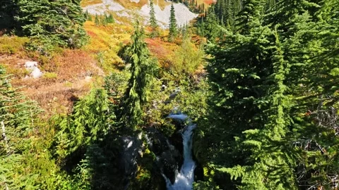 Reflection Lake Trail, Mount Rainier National Park, Washington State, USA Stock Footage 332139018