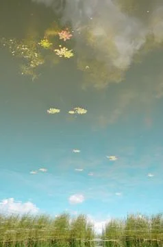 Reflection in the lake waters Stock Photos