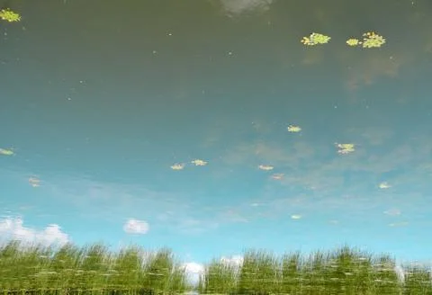 Reflection in the lake waters Stock Photos