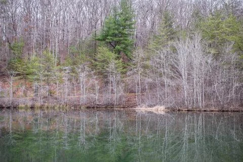 Reflection on the lake in wintertime Stock Photos