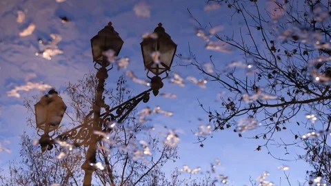 Reflection of a lantern in a puddle on a background of yellow leaves. Stock Footage 121213721