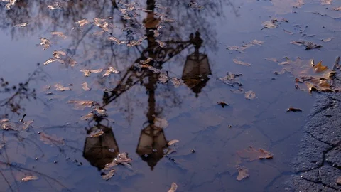 Reflection of a lantern in a puddle on a background of yellow leaves. Stock Footage 122645480
