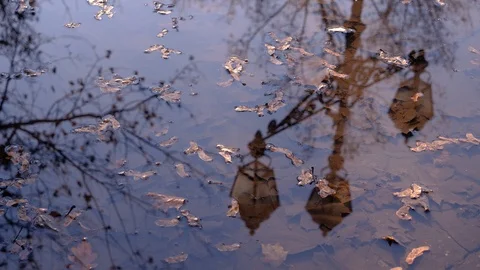 Reflection of a lantern in a puddle on a background of yellow leaves. Stock Footage 122646004