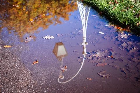 Reflection of a lantern in a puddle in a park Stock Photos